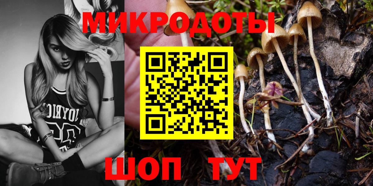 Псилоцибиновые грибы GOLDEN TEACHER Касимов