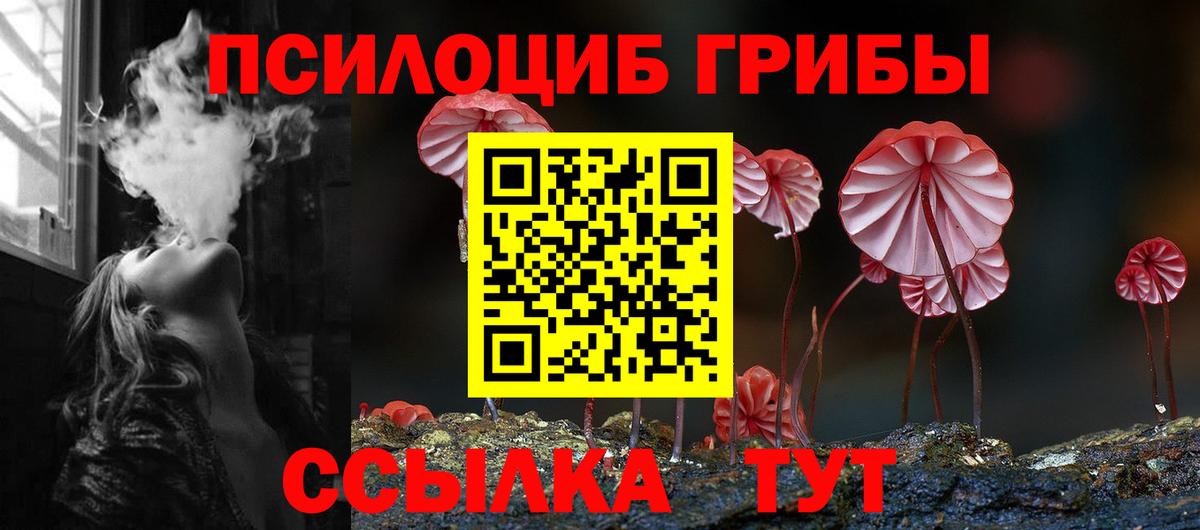 Псилоцибиновые грибы Psilocybe  Касимов 